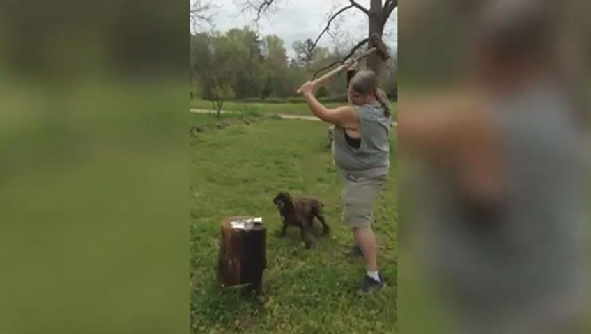 ‘I hereby denounce the effects that social media have on my children’: fed-up mom shoots kids’ phones - image