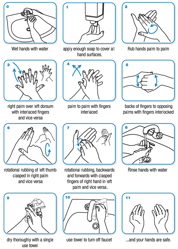 Hand washing: 6 steps to kill the germs on your hands - image