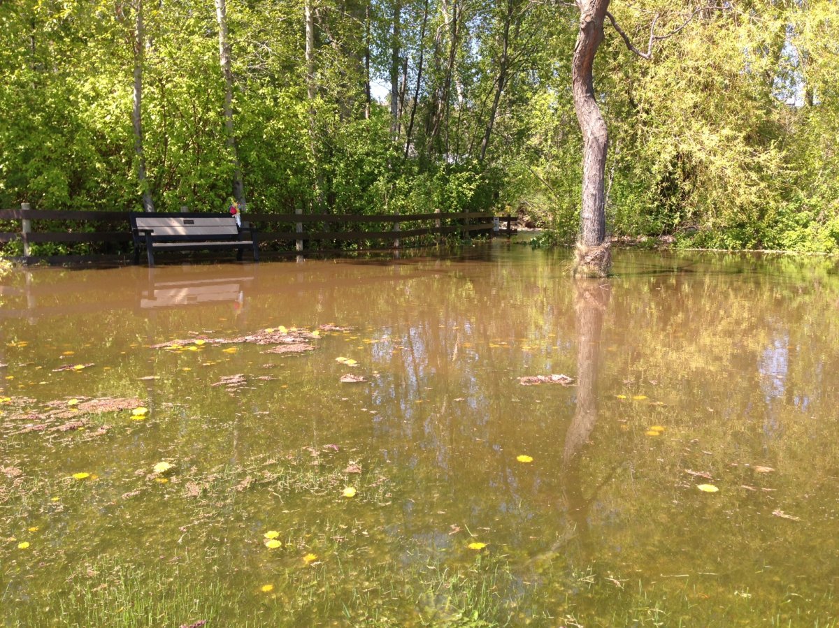 Flooding closes central Okanagan parks and trails - image