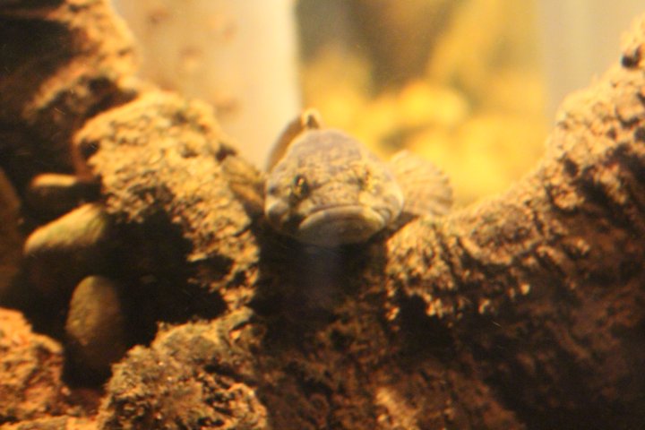 Port Hardy, a place of history, beauty and the great outdoors ...