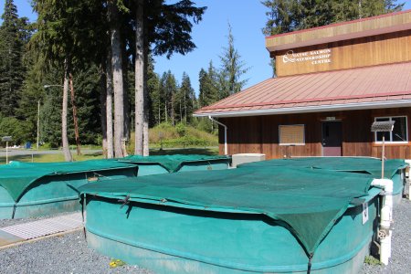 Port Hardy, a place of history, beauty and the great outdoors ...