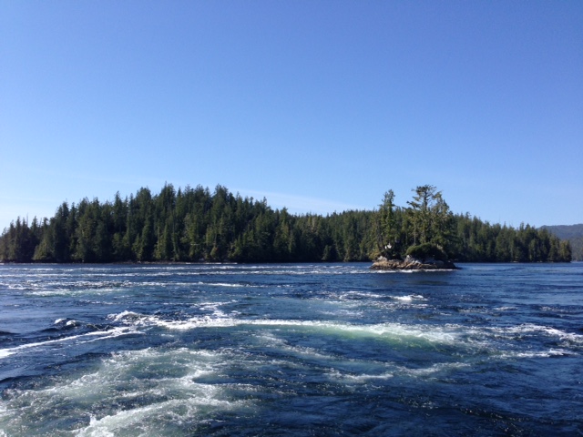 The Nakwakto Rapids can run up to 17 knots during peak tidal changes.