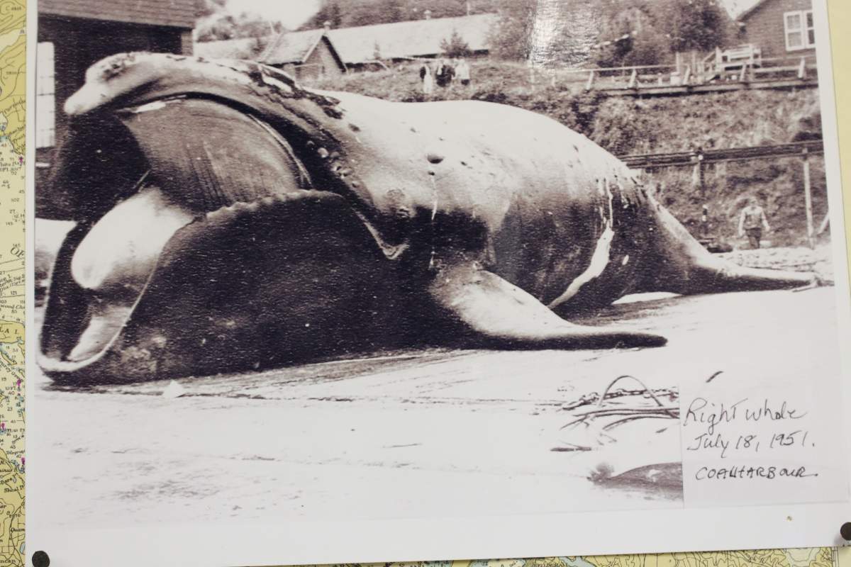 Did an American Civil War leader seek refuge in a small Vancouver Island town? - image