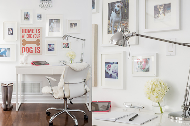 HGTV Canada’s Jo Alcorn has a passion for photography.