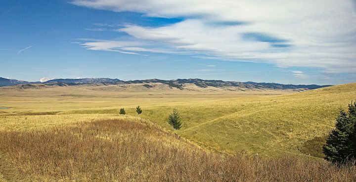 King Ranch in southern Alberta