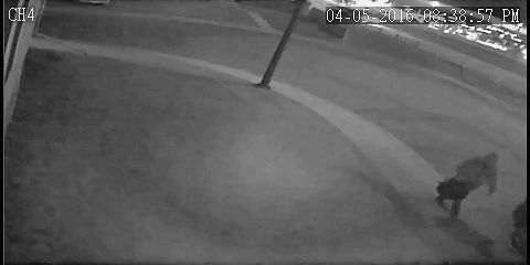 Calgary police are searching for a person of interest potentially involved in a number of suspicious fires in Marlborough. PLEASE NOTE: police say the time stamp on this photo isn’t accurate.