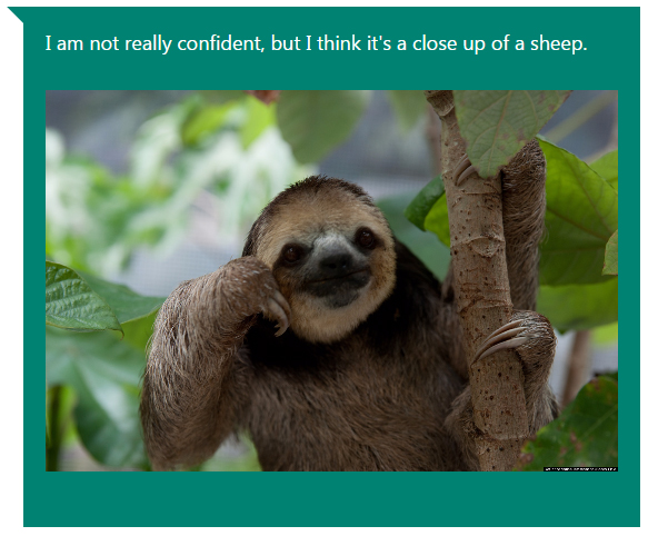 Microsoft’s CaptionBot photo caption tool is hilariously bad - image