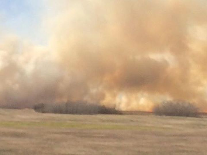 Fire crews battle large grass fire east of Sherwood Park - image