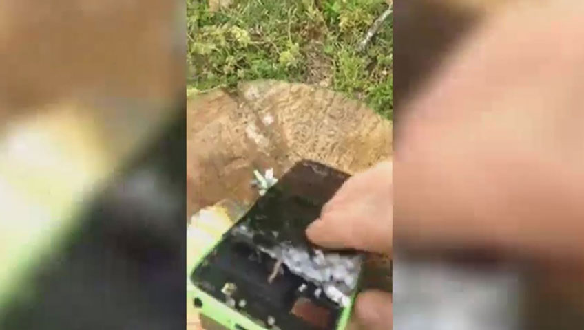 ‘I hereby denounce the effects that social media have on my children’: fed-up mom shoots kids’ phones - image