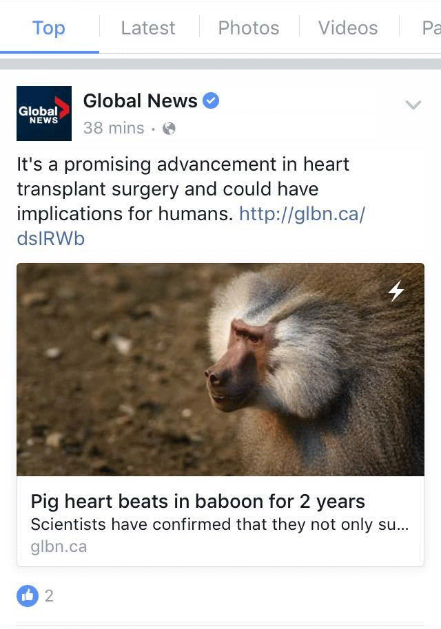 Global News gets lightning-quick with Facebook Instant Articles - image