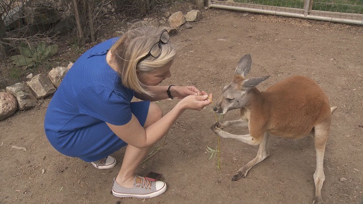 Okanagan facing serious worker shortage - image