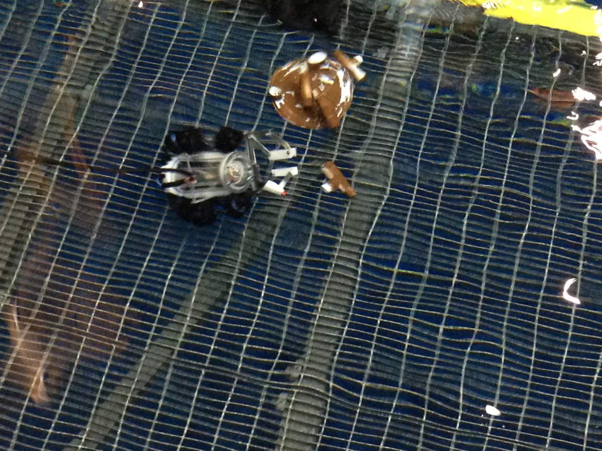 Students participate in underwater robot competition - image