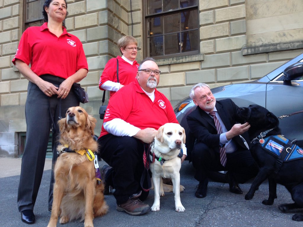 Legislation introduced in Nova Scotia will set out regulations for the use of service dogs, as well as establishing rights of service dog users.