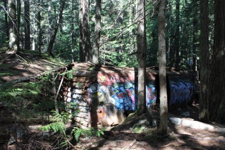 One of the box cars in Train Wreck in Whistler, B.C.