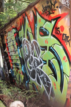 Some of the graffiti art covering one of seven box cars at Train Wreck in Whistler, B.C.