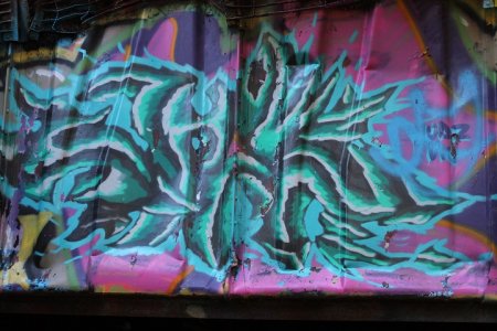 Some of the graffiti art covering one of seven box cars at Train Wreck in Whistler, B.C.