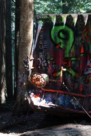 Some of the graffiti art covering one of seven box cars at Train Wreck in Whistler, B.C.