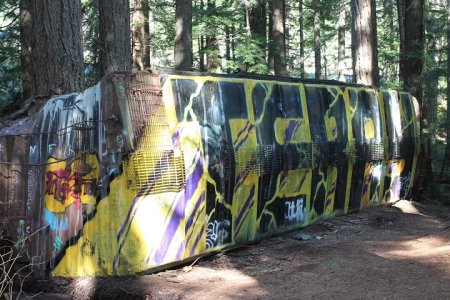 Some of the graffiti art covering one of seven box cars at Train Wreck in Whistler, B.C.