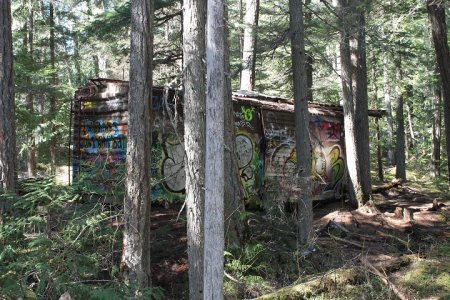 One of the box cars in Train Wreck in Whistler, B.C.