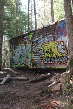 Some of the graffiti art covering one of seven box cars at Train Wreck in Whistler, B.C.