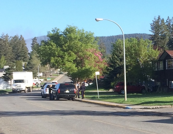 K9 unit and police searching yards in north area of Williams Lake.