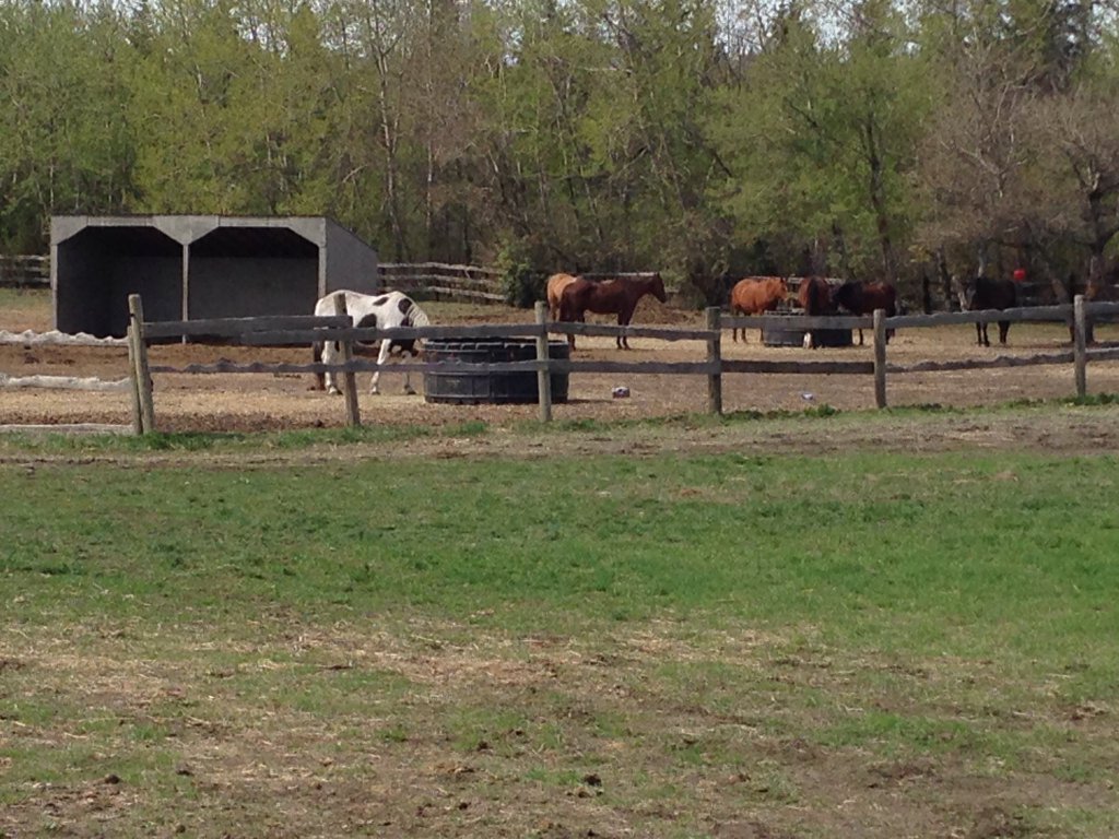 A renewal project is underway at Whitemud Equine Learning Centre, scheduled for completion this fall.