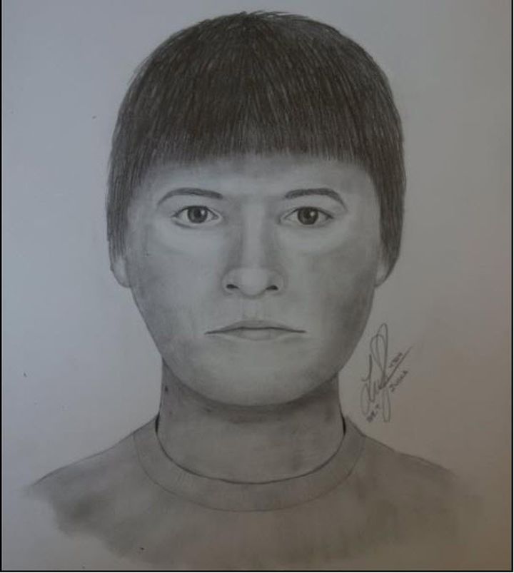 Police release sketch of suspect in southeast Calgary pub stabbing ...