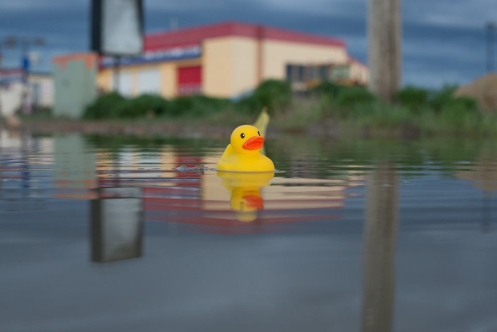 May 1: Chris Attrell took this Your Saskatchewan photo of a rubber ducky floating in the puddles left over after the snowmelt in Shaunavon.