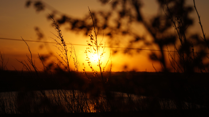 May 12: This Your Saskatchewan photo was taken east of Regina by Joshua Zorn.