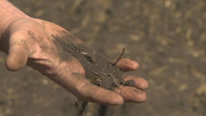 Much of southern Alberta remains dry, despite rain this weekend.