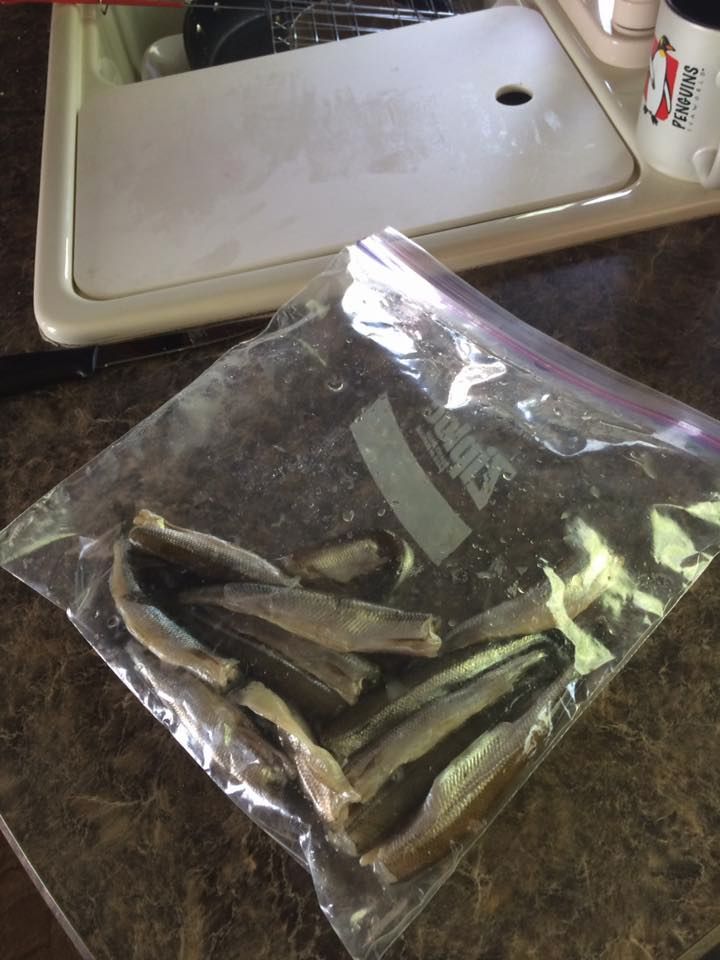 Fort McMurray wildfire: cheese slices, statue of David among items evacuees grabbed as they left town - image