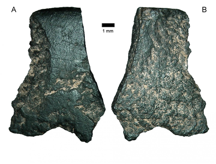 Fragments from the edge of the world's oldest-known axe, found in the Kimberley region of Western Australia.