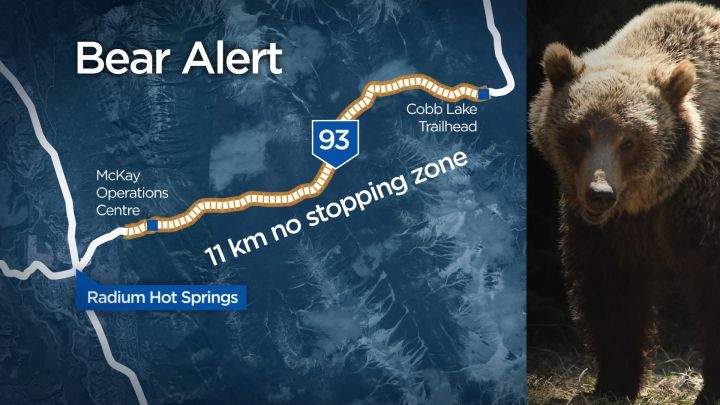 Map of the 'no stopping zone' as per Parks Canada May 12, 2016.