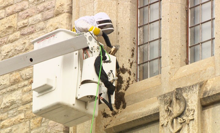 The University of Saskatchewan is often a hive of activity and something on Monday caused quite a bit of buzz.