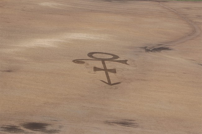 In this Thursday, April 28, 2016 photo provided by Gene Hanson, a corn field shows the symbol of the late megastar Prince in Edgeley, N.D. 