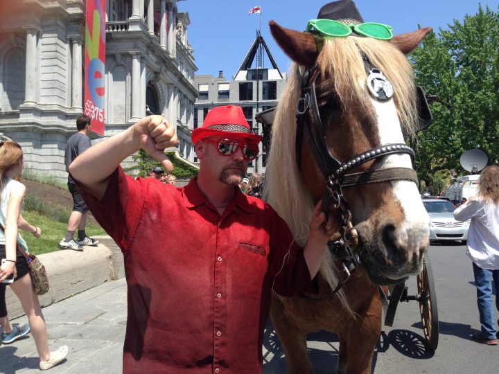 Calèche drivers protest in front of Montreal city hall, Tuesday, May 24, 2016.