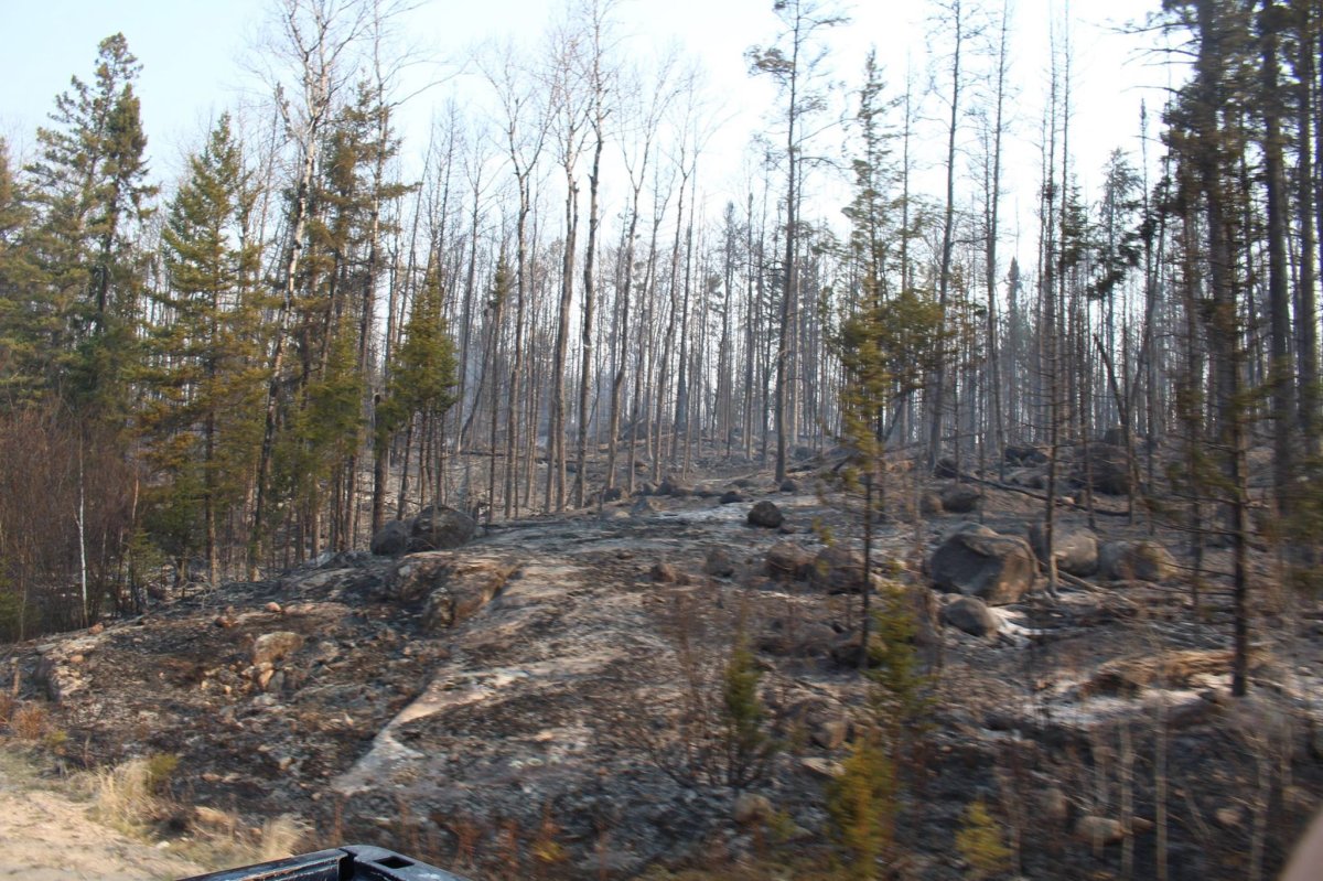 In the beginning of May, the wildfire ripped through parts of the trail, completely destroying the vegetation. The northern trail has been re-opened but the southern portion remains closed.
