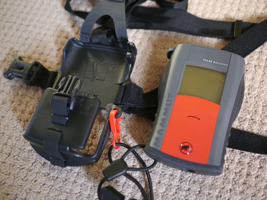 Fort McMurray wildfire: cheese slices, statue of David among items evacuees grabbed as they left town - image