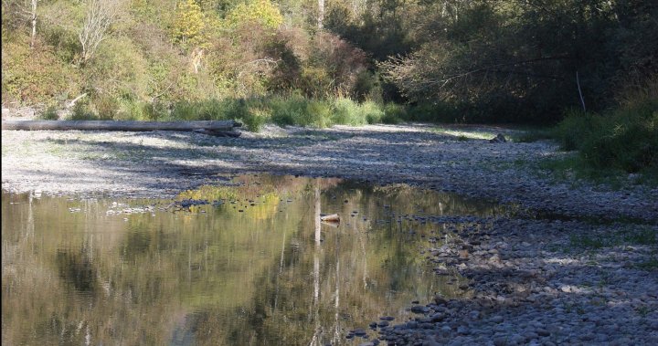 Нов прелив за застрашената от суша река на остров Ванкувър е на повече от 2 години