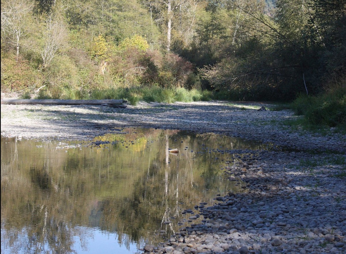 The Cowichan River seen during a period of drought in 2016. 