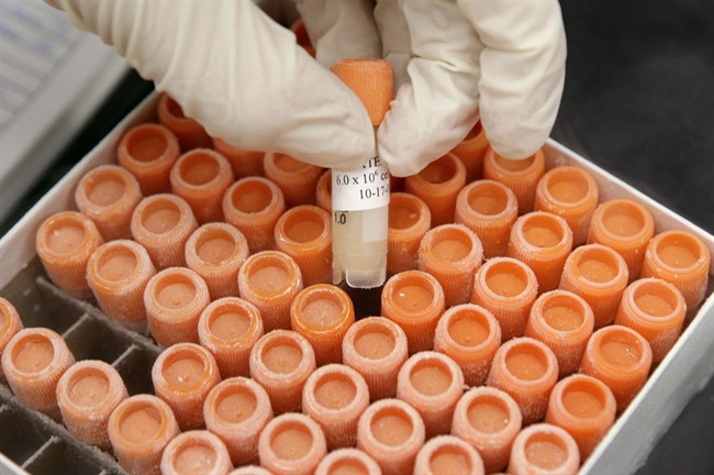 A researcher pulls a frozen vial of human embryonic stem cells at the University of Michigan Center for Human Embryonic Stem Cell Research Laboratory in Ann Arbor, Mich.