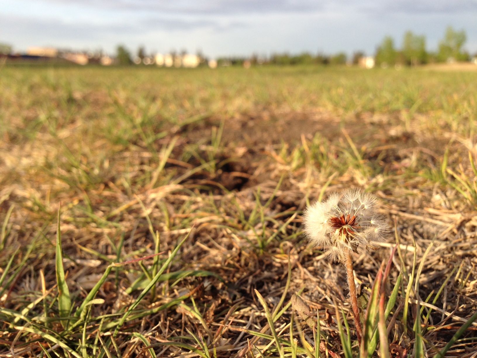 Очаква се провинцията да предостави актуализация на условията на засушаване