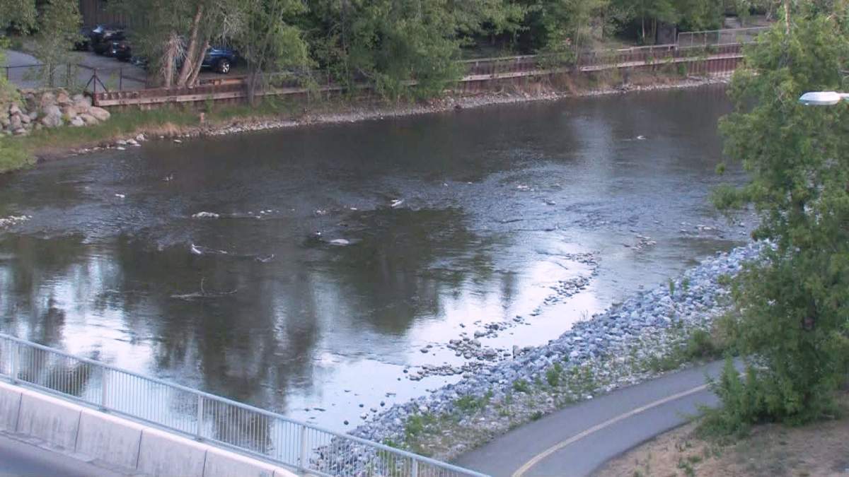 The Elbow River on Tuesday, May 10, 2016. 