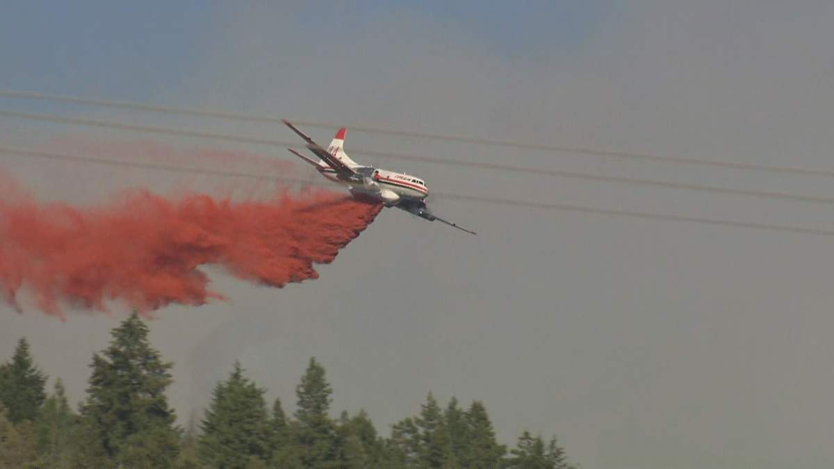 Wildfire readiness in the Okanagan - image