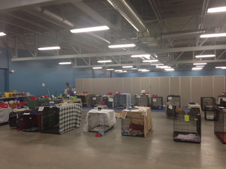 The room at the Lac La Biche evacuation centre set up by the Humane Society, accommodating dozens of dogs, cats and other animals.