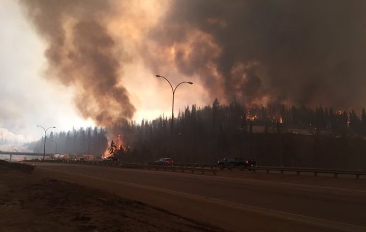 Former Alberta NDP candidate suspended by employer after calling Fort McMurray fire ‘karmic’ - image