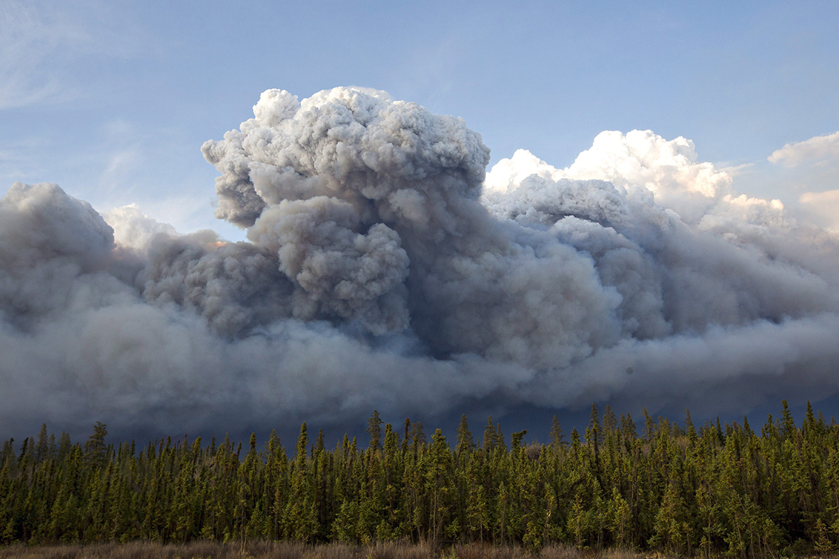 Smoke rises above trees as a wildfire burns in Fort McMurray, Alta., on Wednesday May 4, 2016. Officials say the predicted movement of the Fort McMurray wildfire into Saskatchewan has not happened but crews are not standing down.