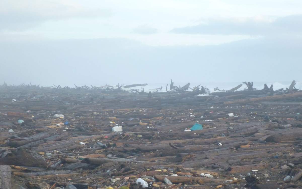 The pristine beaches of Haida Gwaii's east coast covered with plastic debris coming from the ocean. 