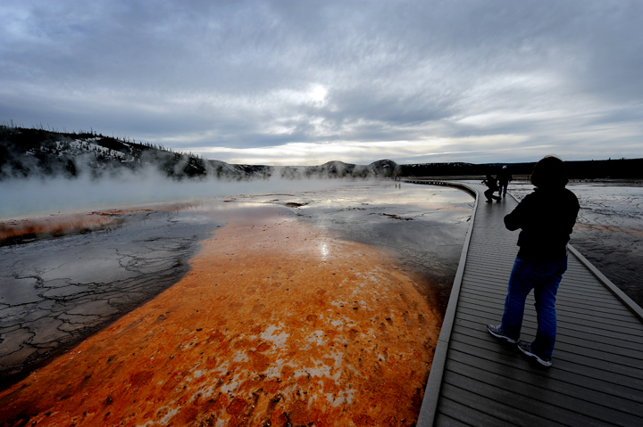 View of the 'Grand Prismatic' hot spring with it's unique colors caused by brown, orange and yellow algae-like bacteria called Thermophiles.