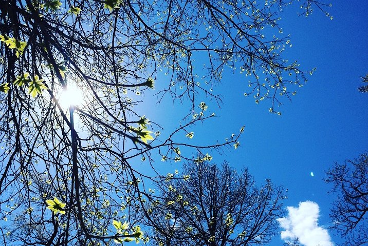 Spring finally arrives in Manitoba with above-seasonal temperatures in the forecast